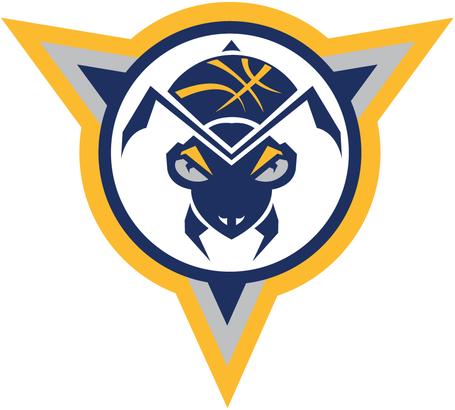 Fort Wayne Mad Ants 2017-Pres Alternate Logo iron on transfers for T-shirts